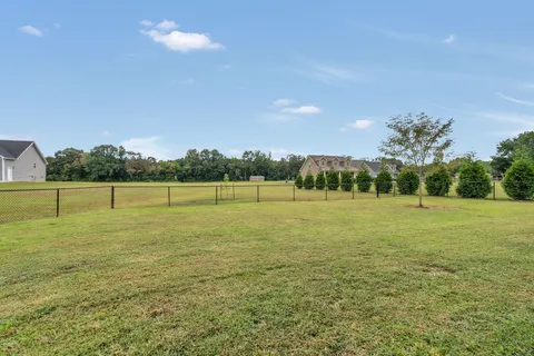 a view of a green field