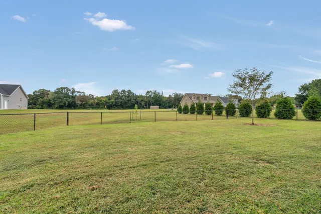 a view of a green field