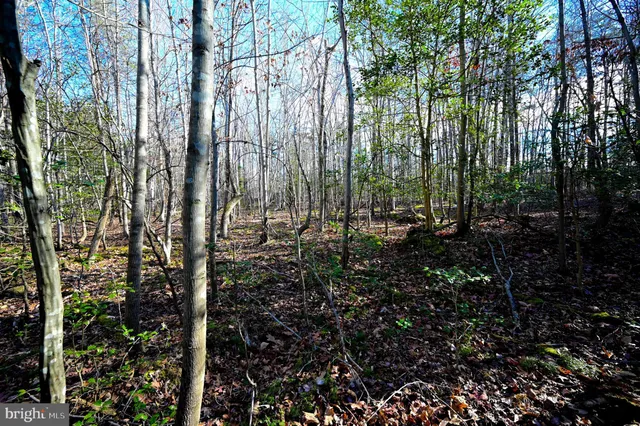 $73,000 | 0 Stuckey Road, Indian Head, MD 20640