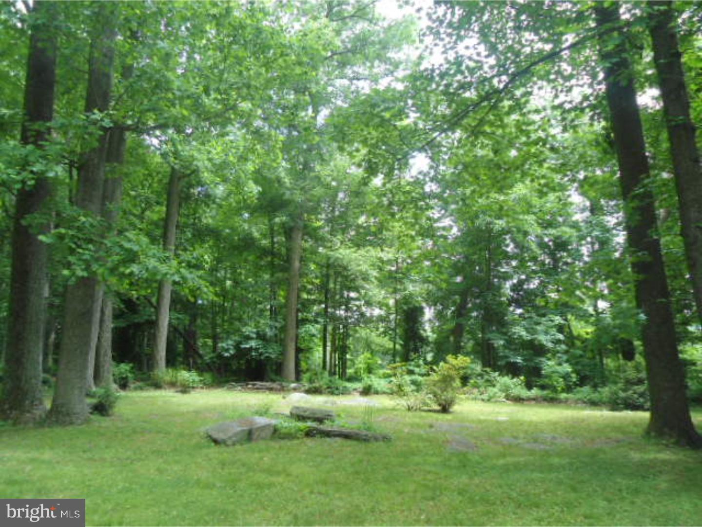 3331 Pine Road Huntingdon Valley, PA 19006 - Photo 21 of 25 Exterior Back