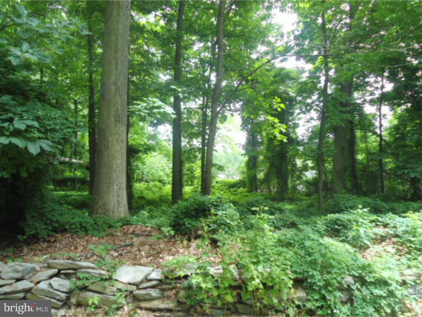 3331 Pine Road Huntingdon Valley, PA 19006 - Photo 25 of 25 Gallery Image 25
