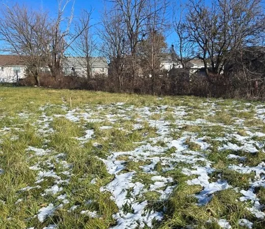 a view of a yard with a house