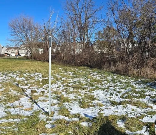 a view of a tree with a yard