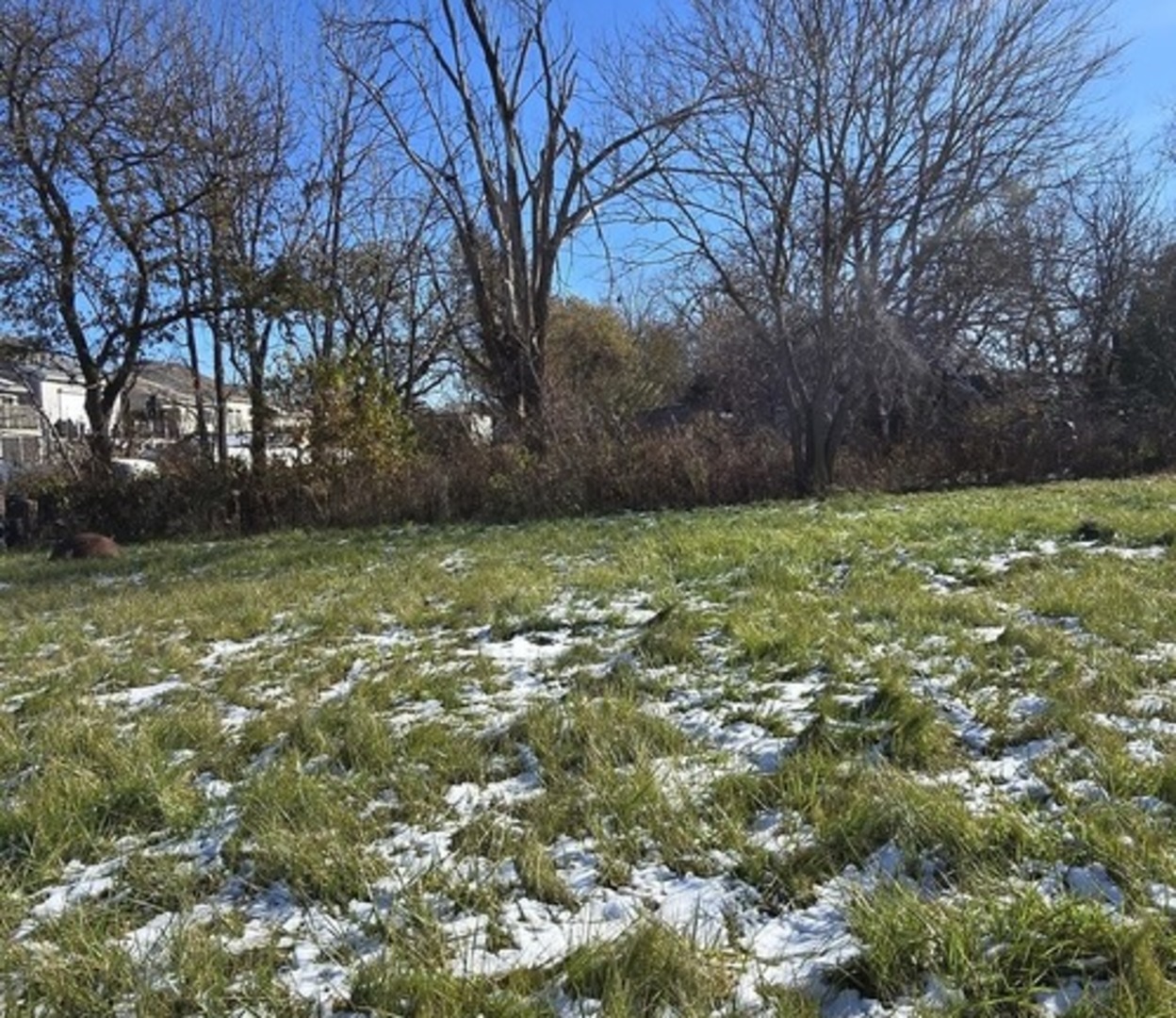 2928 West 143rd Street Blue Island, IL 60406 - Photo 5 of 6 a view of a lush green space