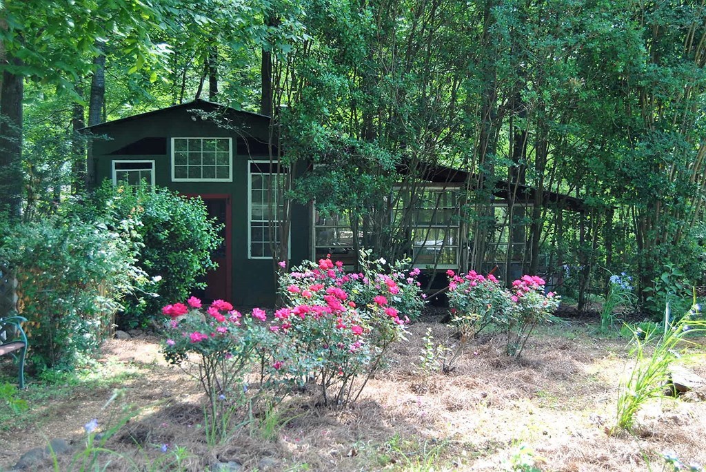 249 Bolingview Road Juliette, GA 31046 - Photo 34 of 45 a view of a potted flower in a yard with swimming pool