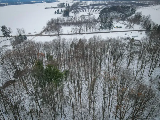 $125,000 | Parcel B South 88th Avenue, Shelby, MI 49455