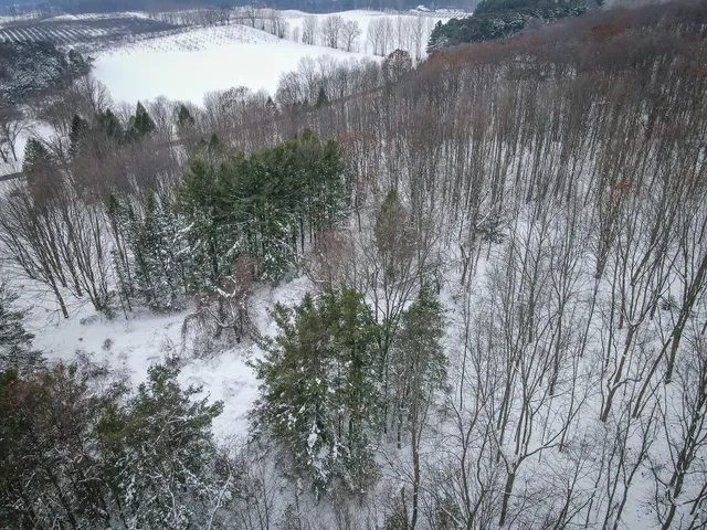 $125,000 | Parcel B South 88th Avenue, Shelby, MI 49455