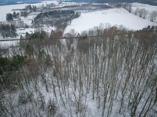 $125,000 | Parcel B South 88th Avenue, Shelby, MI 49455