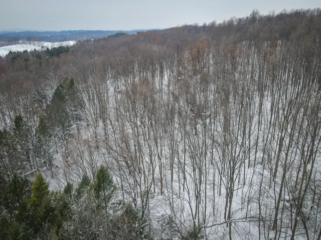 $125,000 | Parcel B South 88th Avenue, Shelby, MI 49455