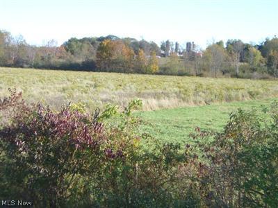 4 Ensign Road Huntsburg, OH 44046 - Photo 14 of 25