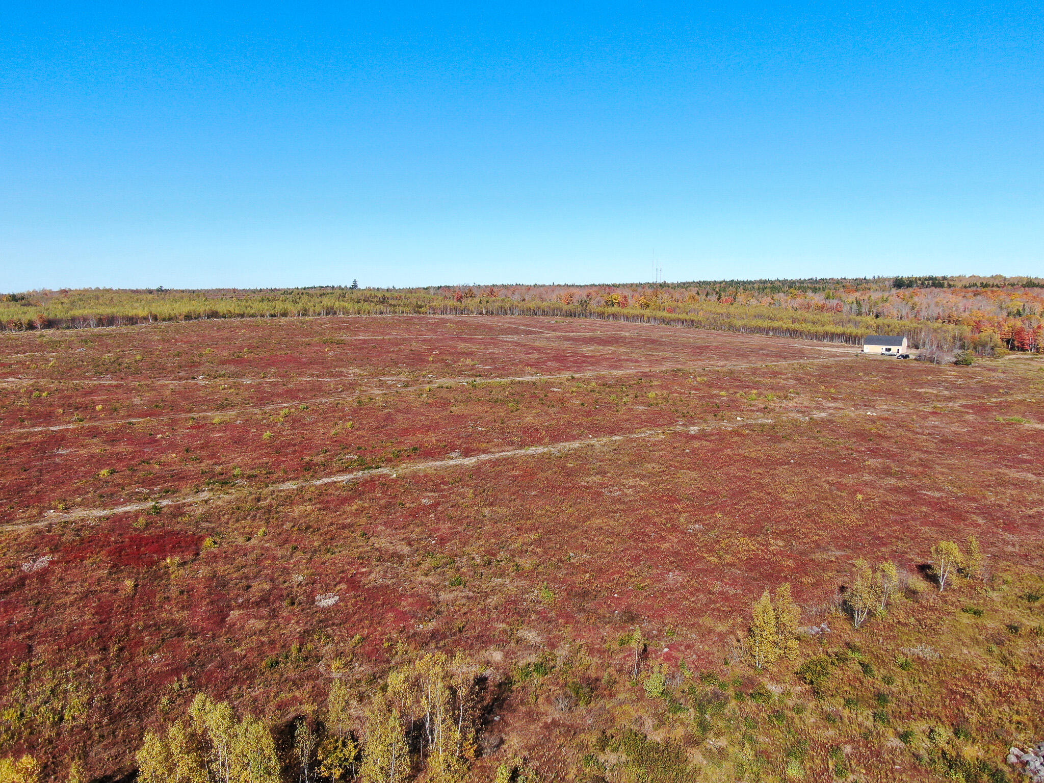 M4-l25-1 Smith Ridge Road Charlotte, ME 04666 - Photo 4 of 17 4