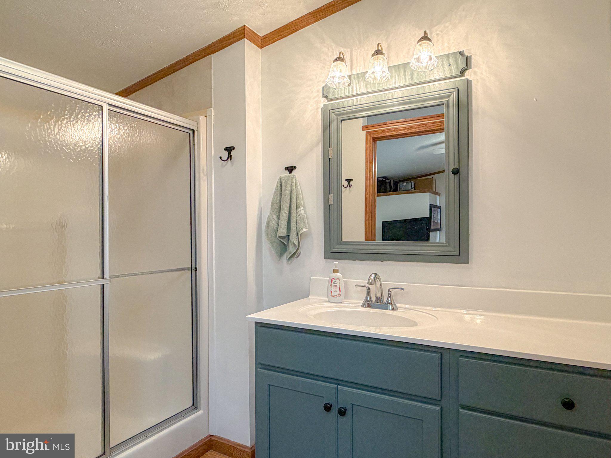 5869 Milligans Cove Road Manns Choice, PA 15550 - Photo 21 of 28 Bathroom number 1