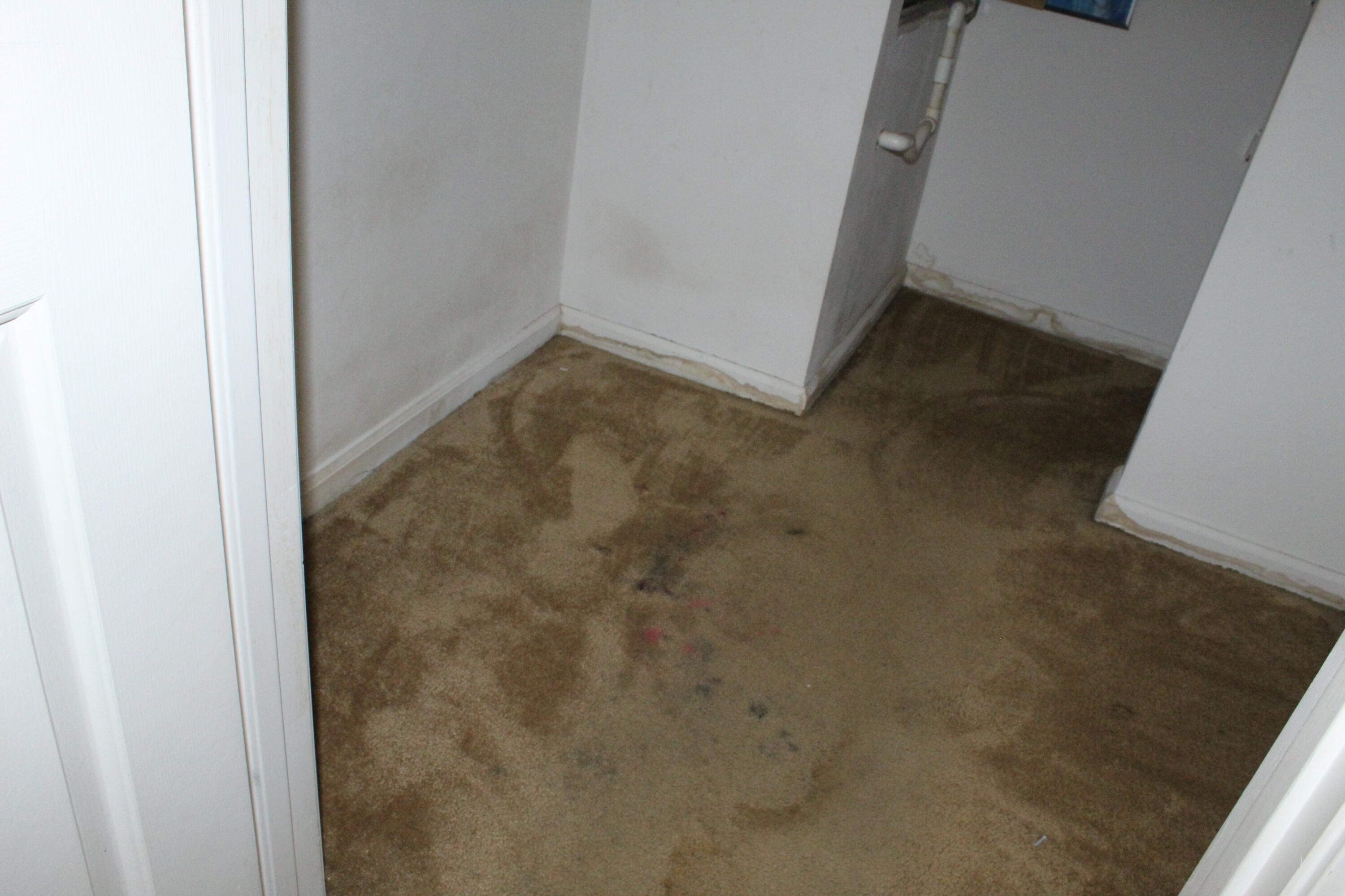 1007 Windsong Circle Augusta, GA 30907 - Photo 28 of 34 IMG_5672