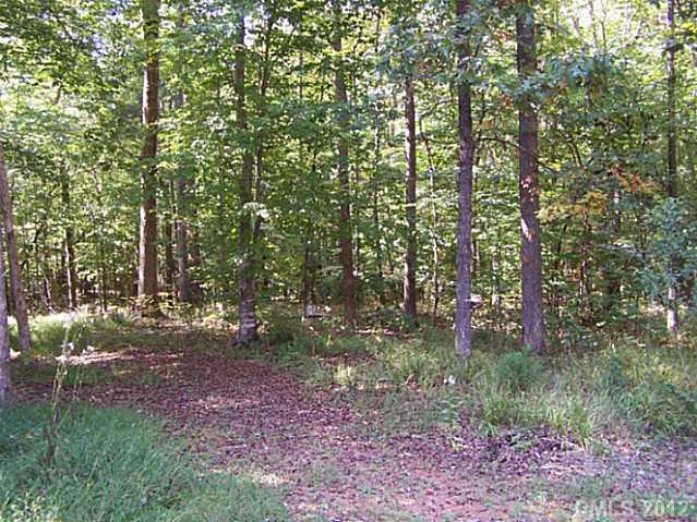 5802 Davis Road Waxhaw, NC 28173 - Photo 3 of 14