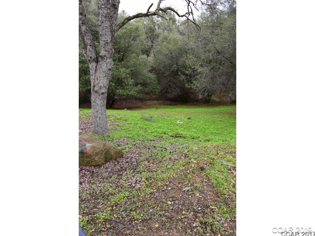 733 Grinding Rock Road Angels Camp, CA 95222 - Photo 1 of 1 Gallery Image 1