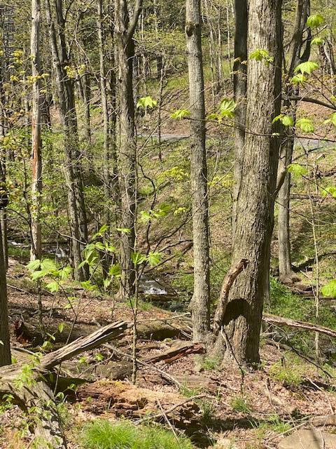 0 Sleigh Hollow Road Duncansville, PA 16635 - Photo 11 of 19 Gallery Image 11