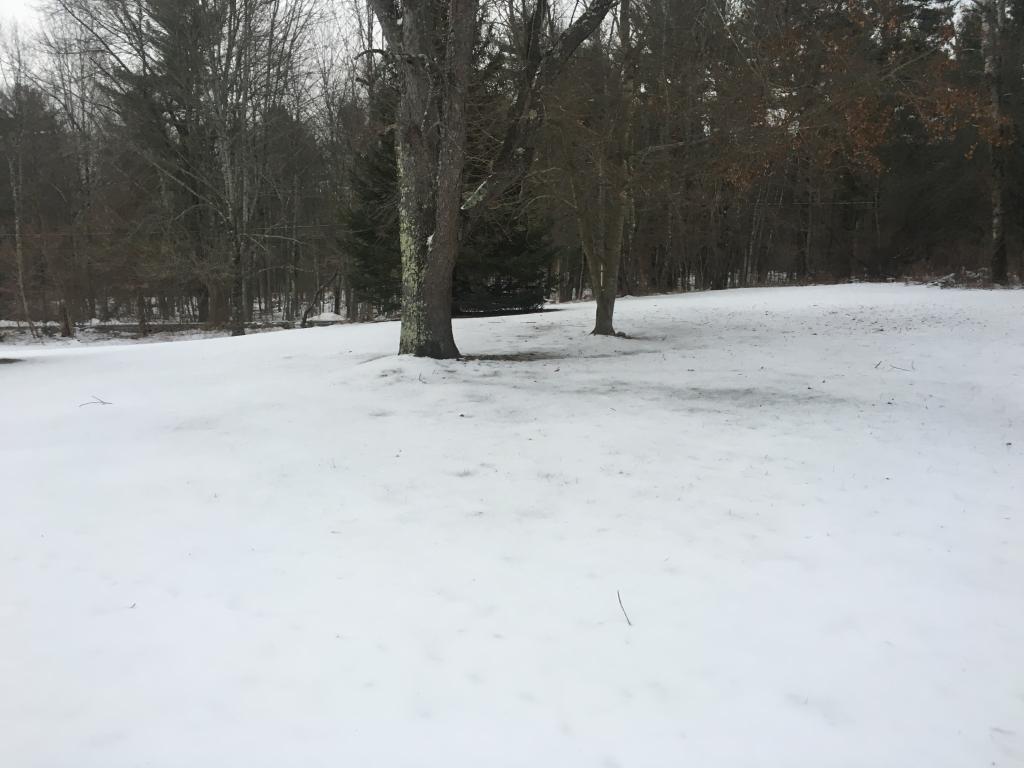 36 Griffin Road Londonderry, NH 03053 - Photo 4 of 28