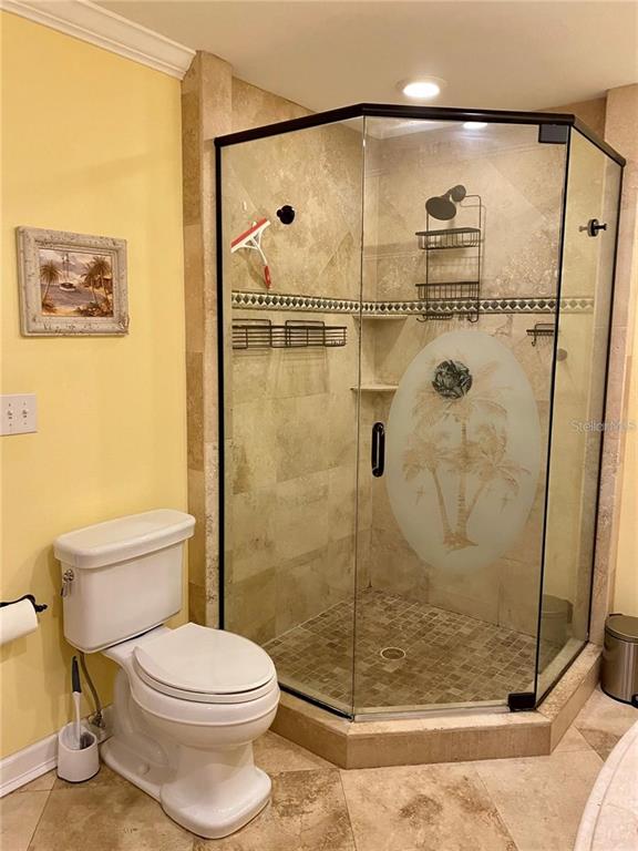 6310 Cocoa Lane Apollo Beach, FL 33572 - Photo 13 of 19 a bathroom with a shower and toilet