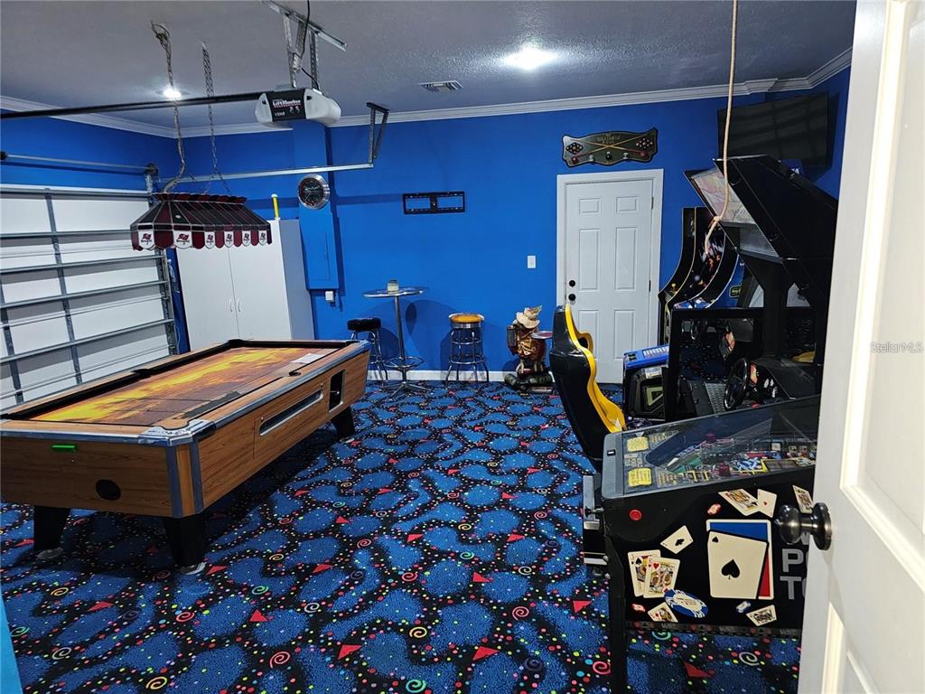 6310 Cocoa Lane Apollo Beach, FL 33572 - Photo 15 of 19 a room with musical instruments