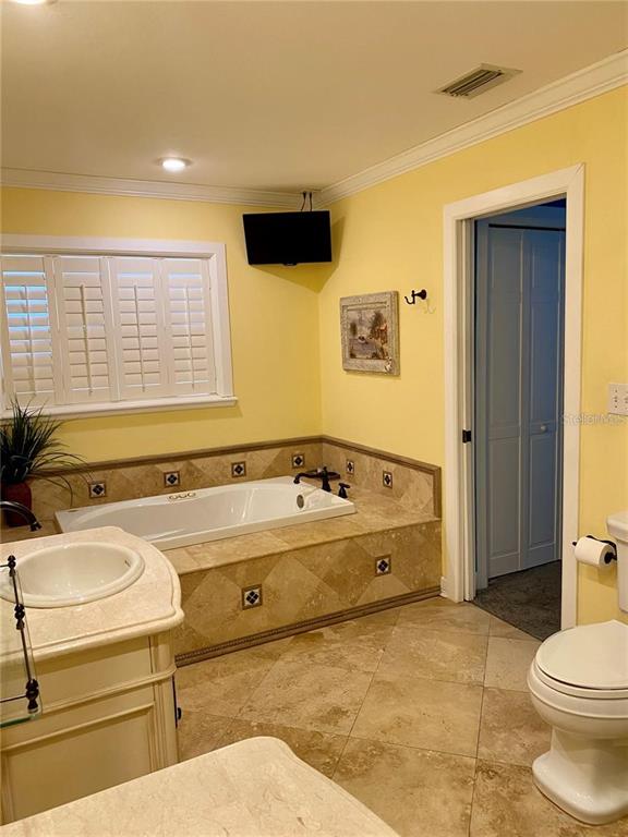 6310 Cocoa Lane Apollo Beach, FL 33572 - Photo 10 of 19 a bathroom with a tub sink and mirror