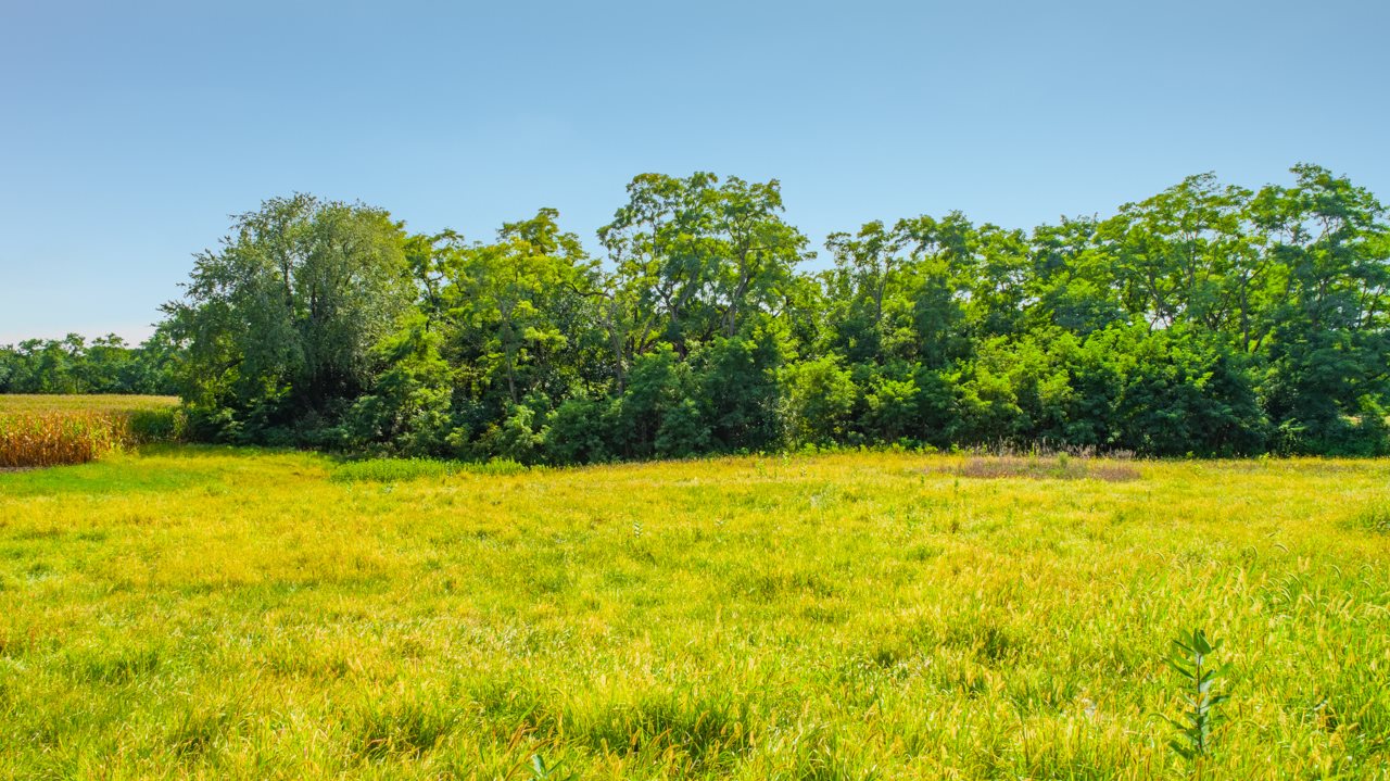 0 West Route 150 Road Brimfield, IL 61517 - Photo 8 of 13