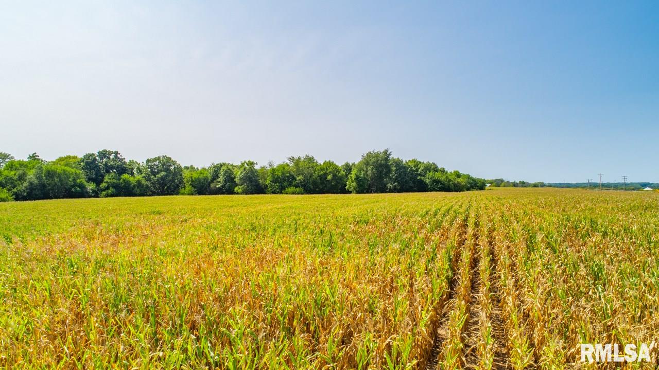 0 West Route 150 Road Brimfield, IL 61517 - Photo 10 of 13