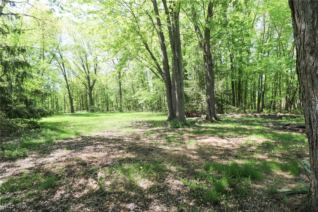 36751 Sugar Ridge Road North Ridgeville, OH 44039 - Photo 19 of 22 View of wooded area