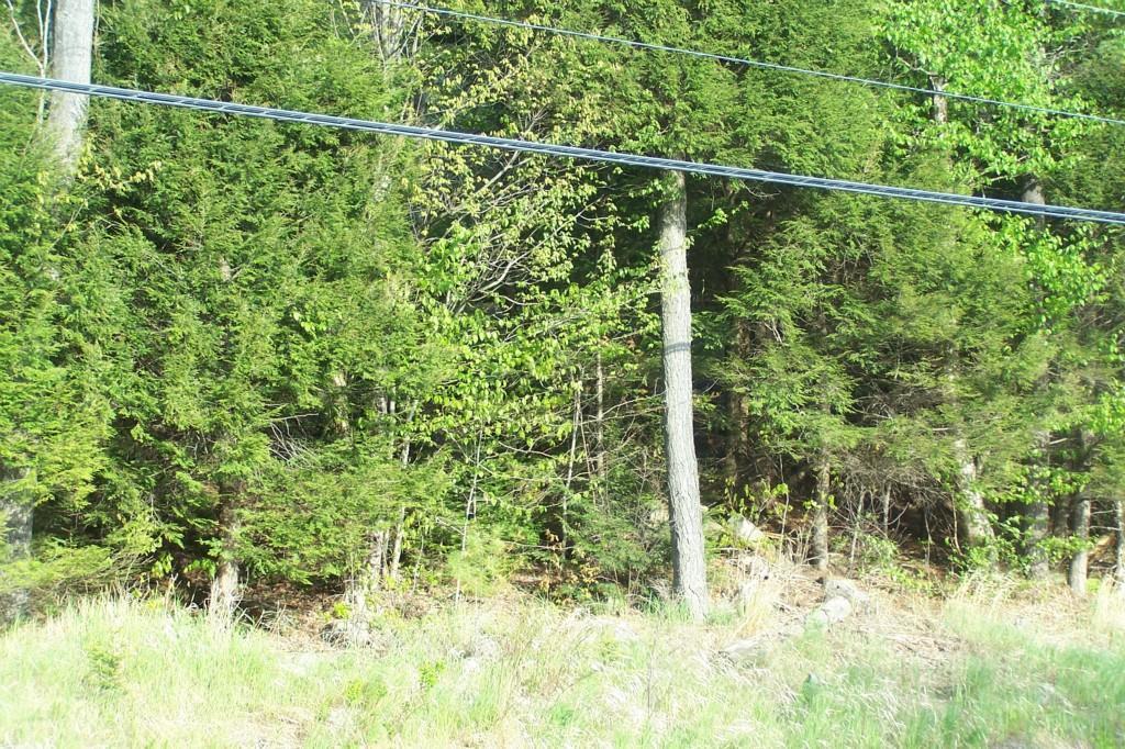 Lot 9-west Harrison Road Norway, ME 04268 - Photo 1 of 1 Photo