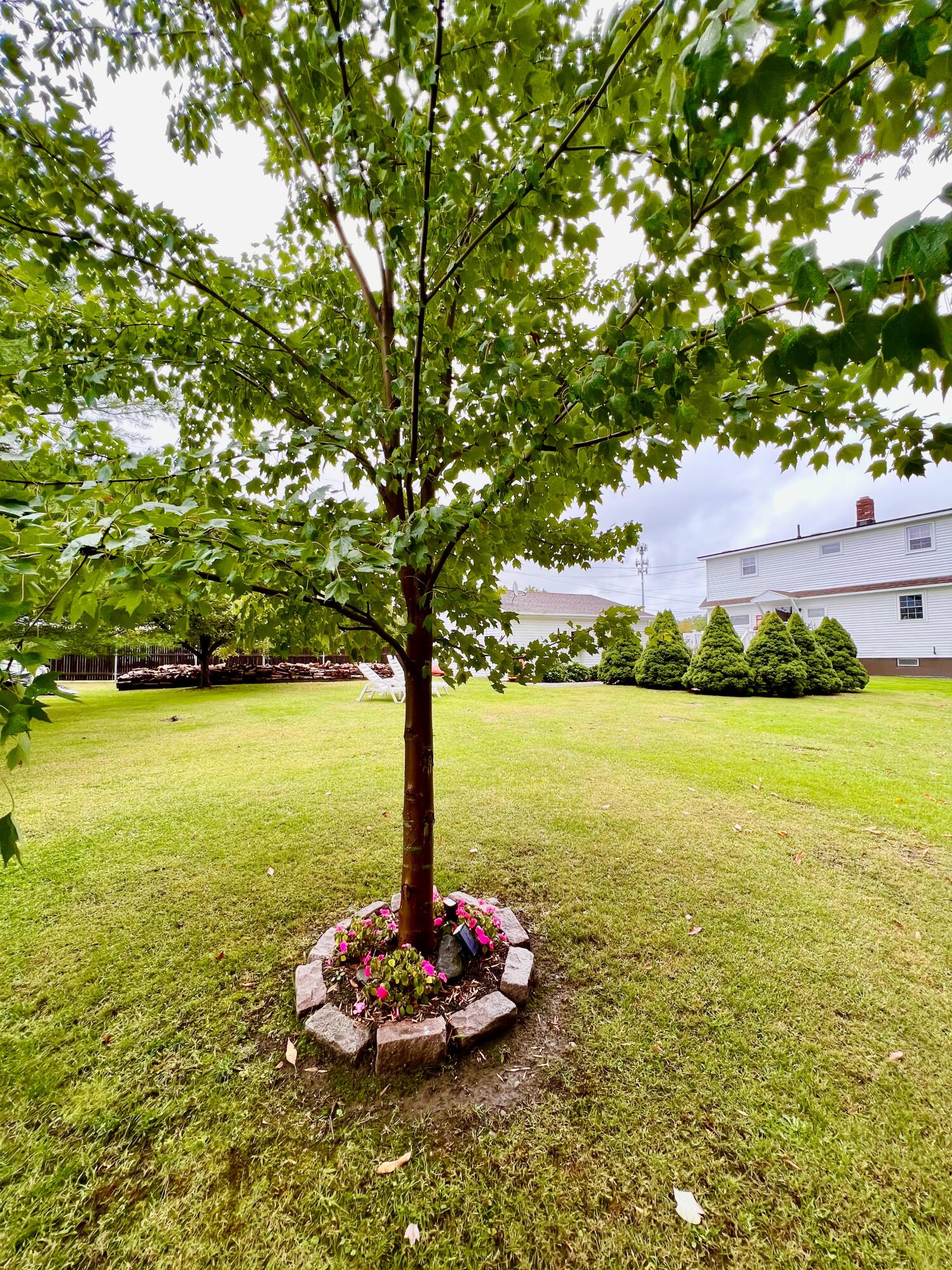 18 County Road Milford, ME 04461 - Photo 43 of 153 Maple Tree