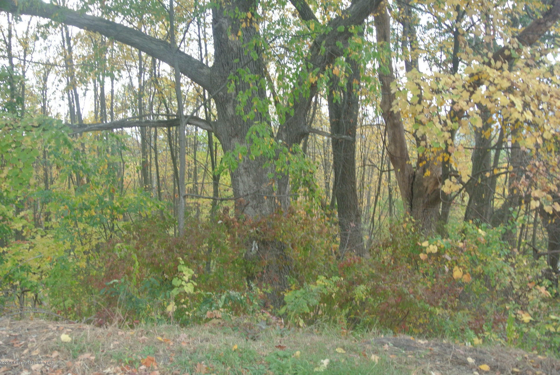 2610 Ransom Road Clarks Summit, PA 18411 - Photo 4 of 4 Picture 3