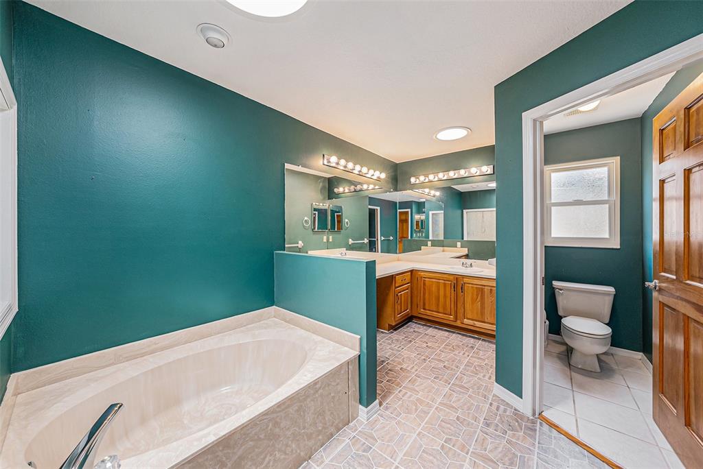 3018 Colonial Ridge Drive Brandon, FL 33511 - Photo 22 of 36 a bathroom with a sink mirror vanity and toilet