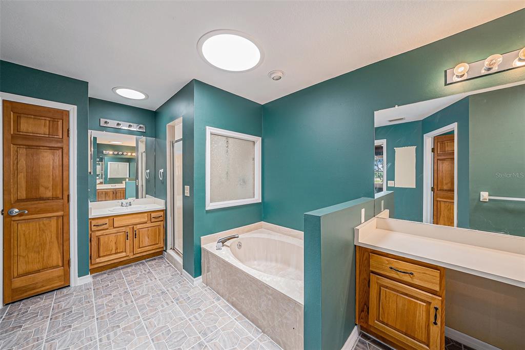 3018 Colonial Ridge Drive Brandon, FL 33511 - Photo 23 of 36 a bathroom with a tub sink and mirror