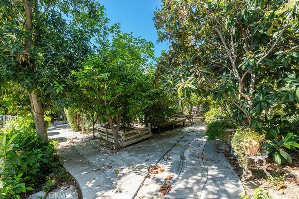 a view of yard