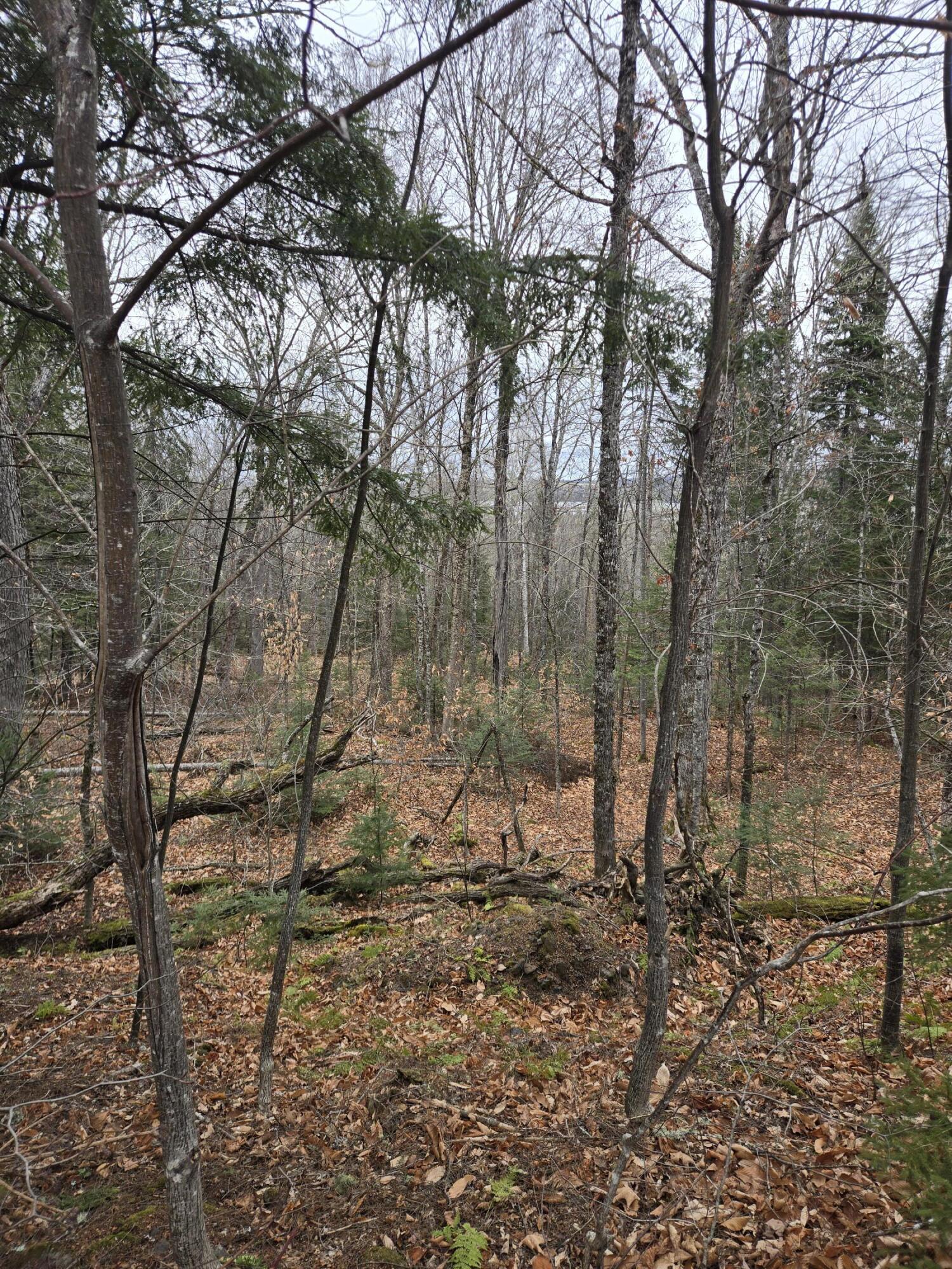 469 East Cottage Road Portage, ME 04768 - Photo 38 of 63 20241120_105609