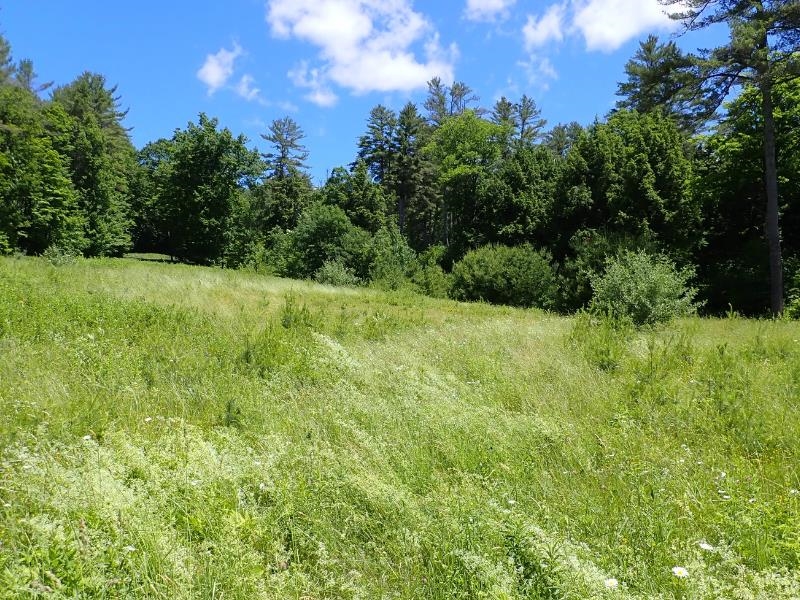 0 Byron Hill Road White River Junction, VT 05001 - Photo 11 of 14 Gallery Image 11