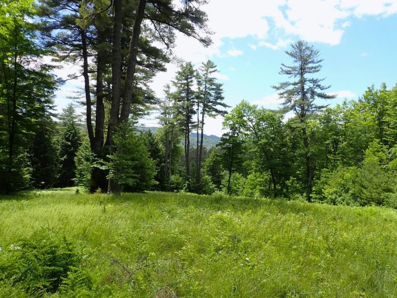 0 Byron Hill Road White River Junction, VT 05001 - Photo 12 of 14 Gallery Image 12