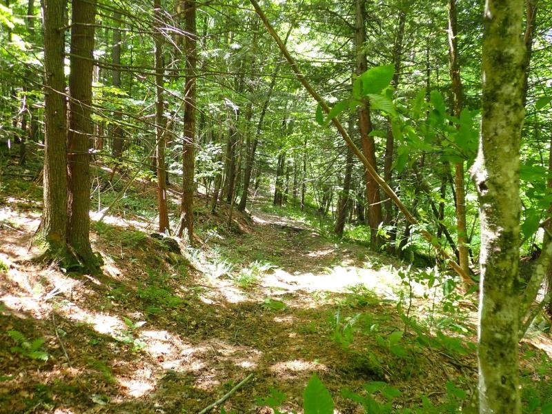 0 Byron Hill Road White River Junction, VT 05001 - Photo 14 of 14 Gallery Image 14
