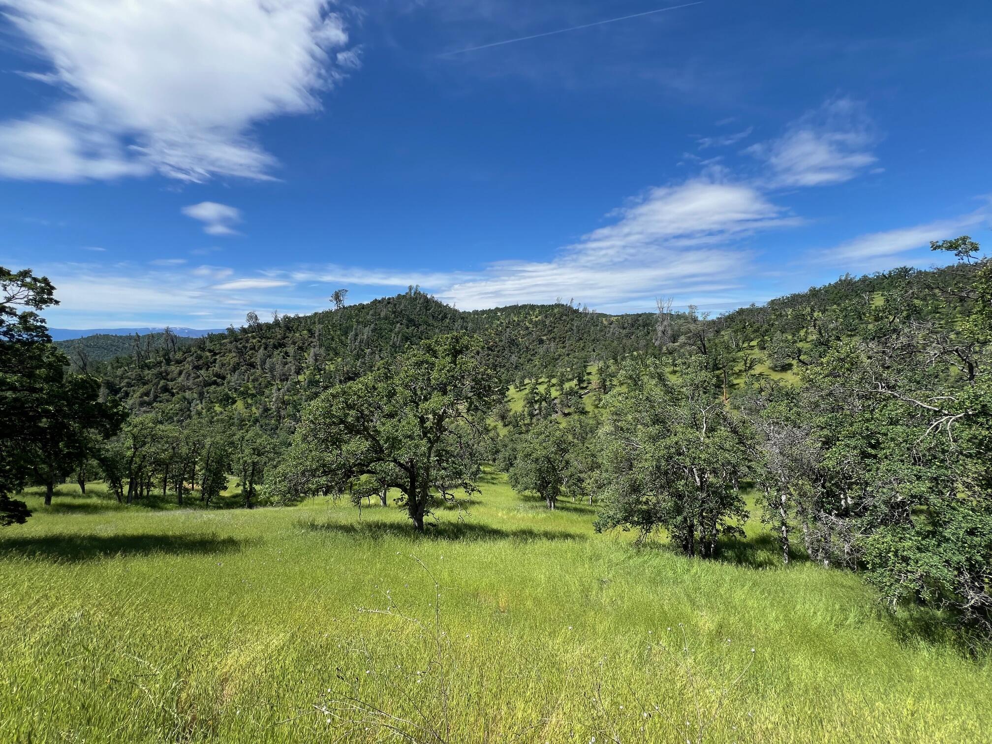 40 Trinity Alps Vista Road Igo, CA 96047 - Photo 13 of 20 a view of lake with green space