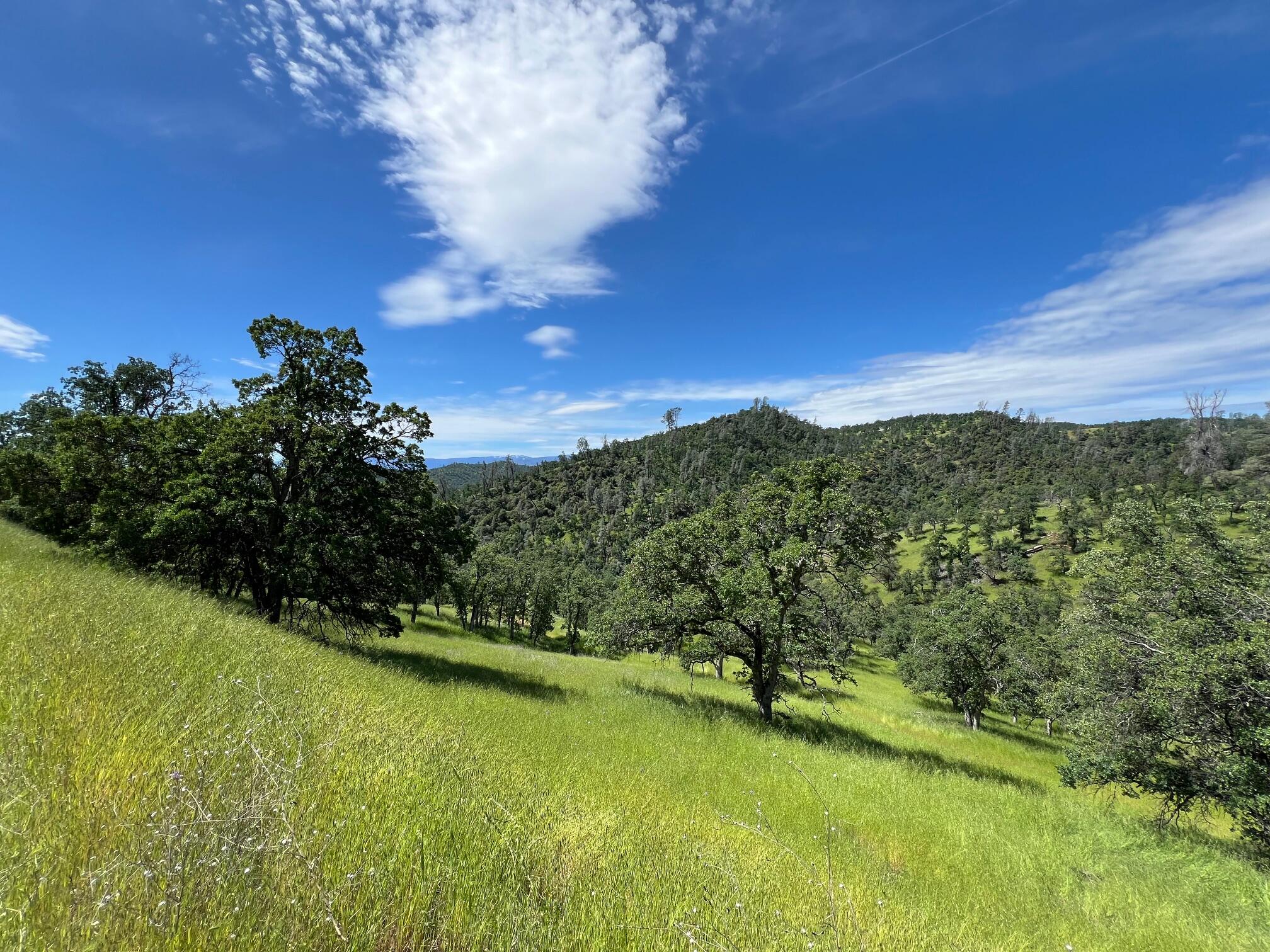 40 Trinity Alps Vista Road Igo, CA 96047 - Photo 14 of 20 a view of a lush green space with sea