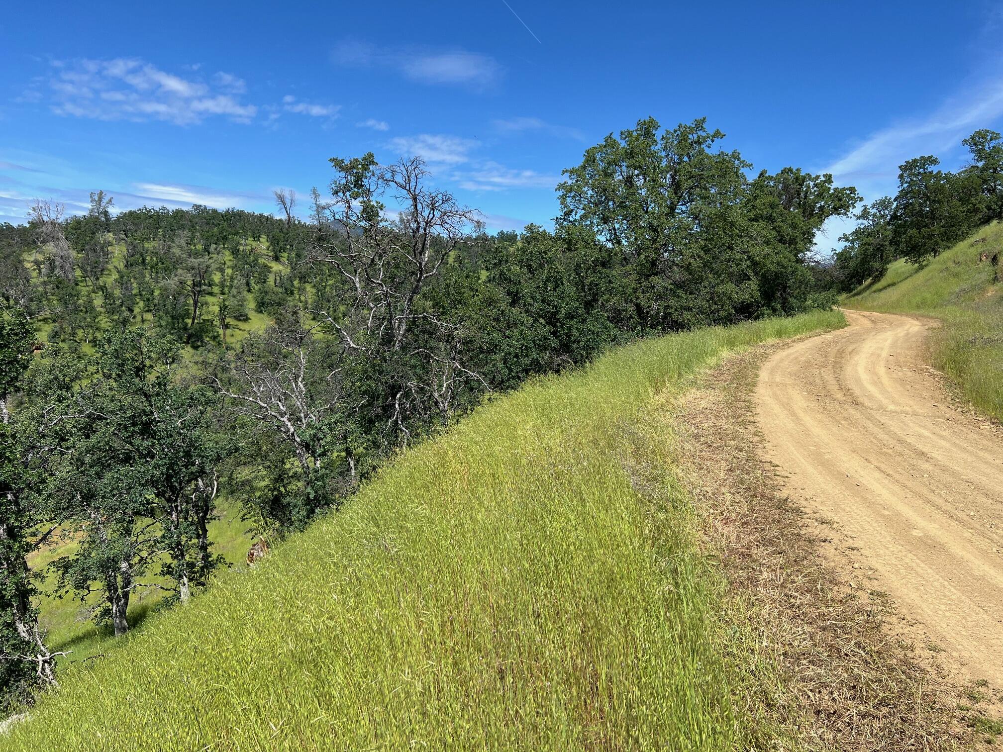 40 Trinity Alps Vista Road Igo, CA 96047 - Photo 16 of 20 a view of a lake with a yard