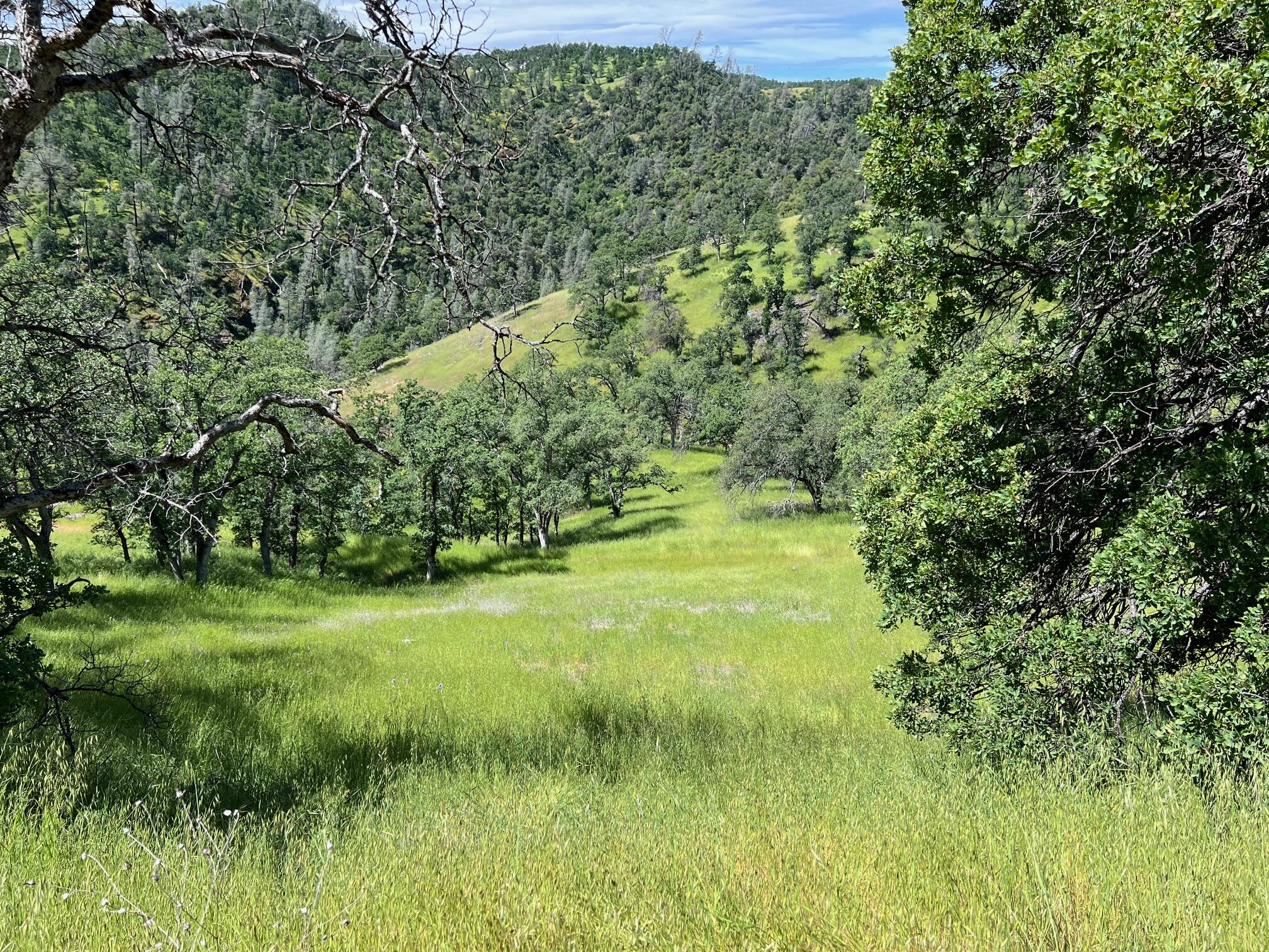 40 Trinity Alps Vista Road Igo, CA 96047 - Photo 19 of 20