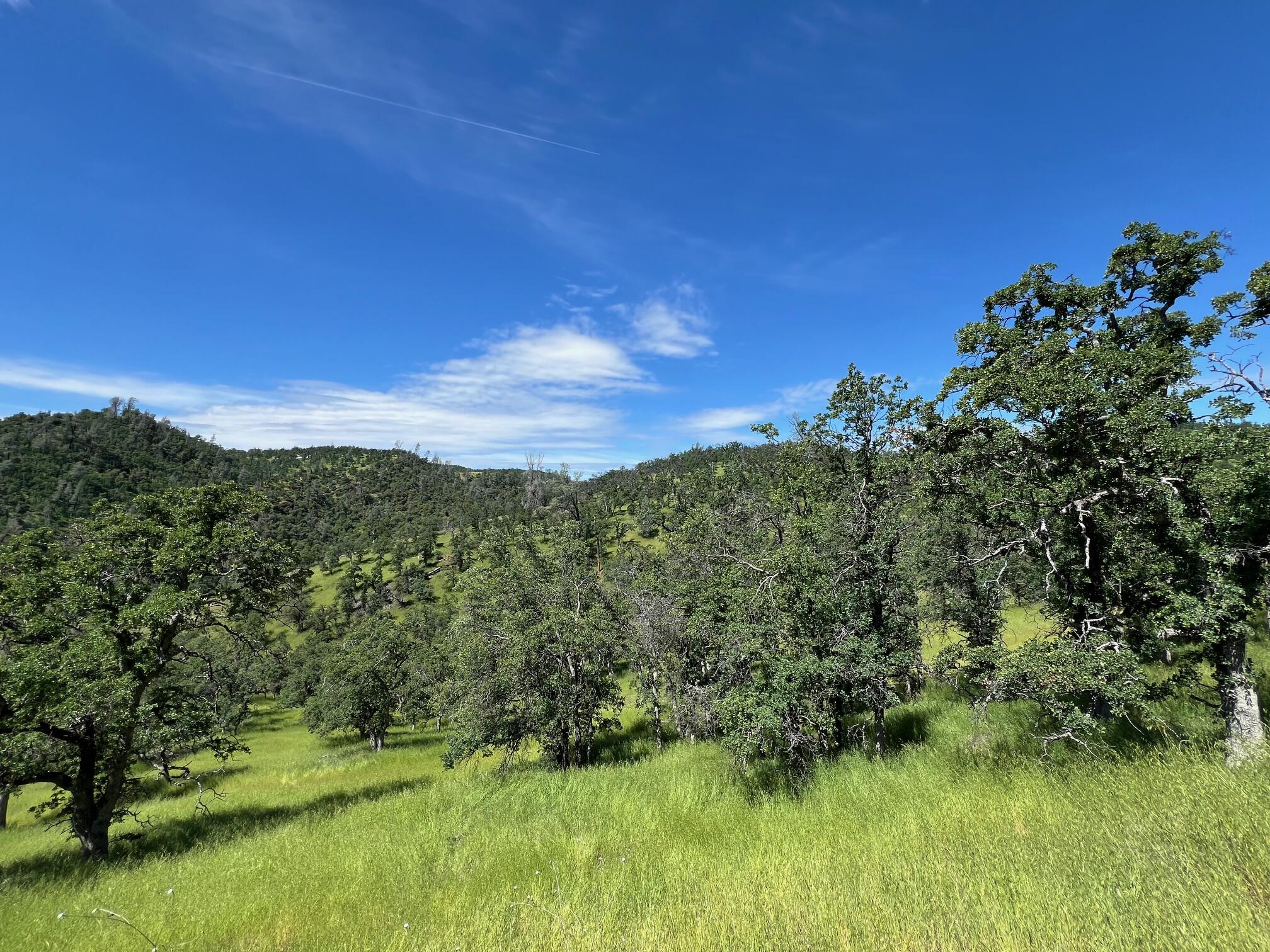 40 Trinity Alps Vista Road Igo, CA 96047 - Photo 3 of 20 a view of a lake with a mountain in the background