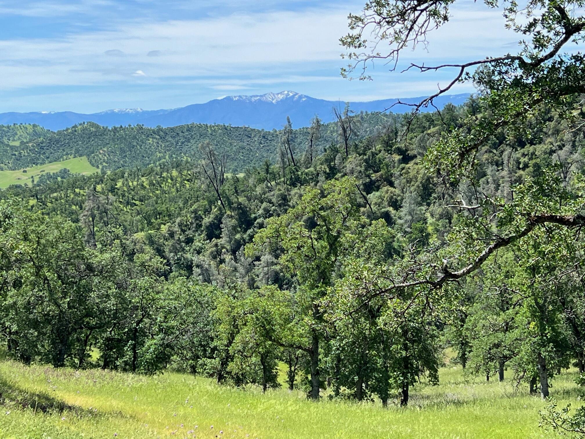 40 Trinity Alps Vista Road Igo, CA 96047 - Photo 9 of 20 a view of a city with lush green forest