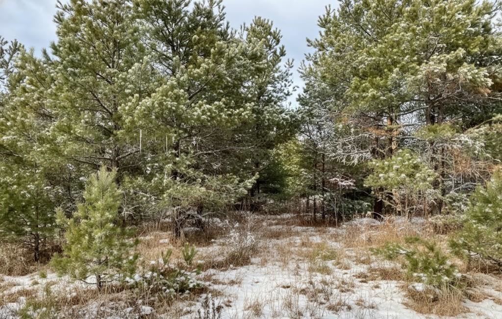 2 North 2 1/2 Road Buckley, MI 49620 - Photo 4 of 16