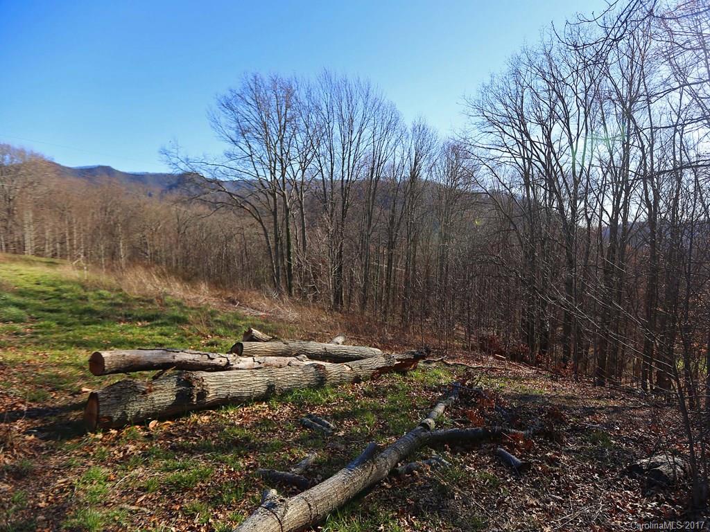 0 Squaw Ridge Road Waynesville, NC 28786 - Photo 1 of 5