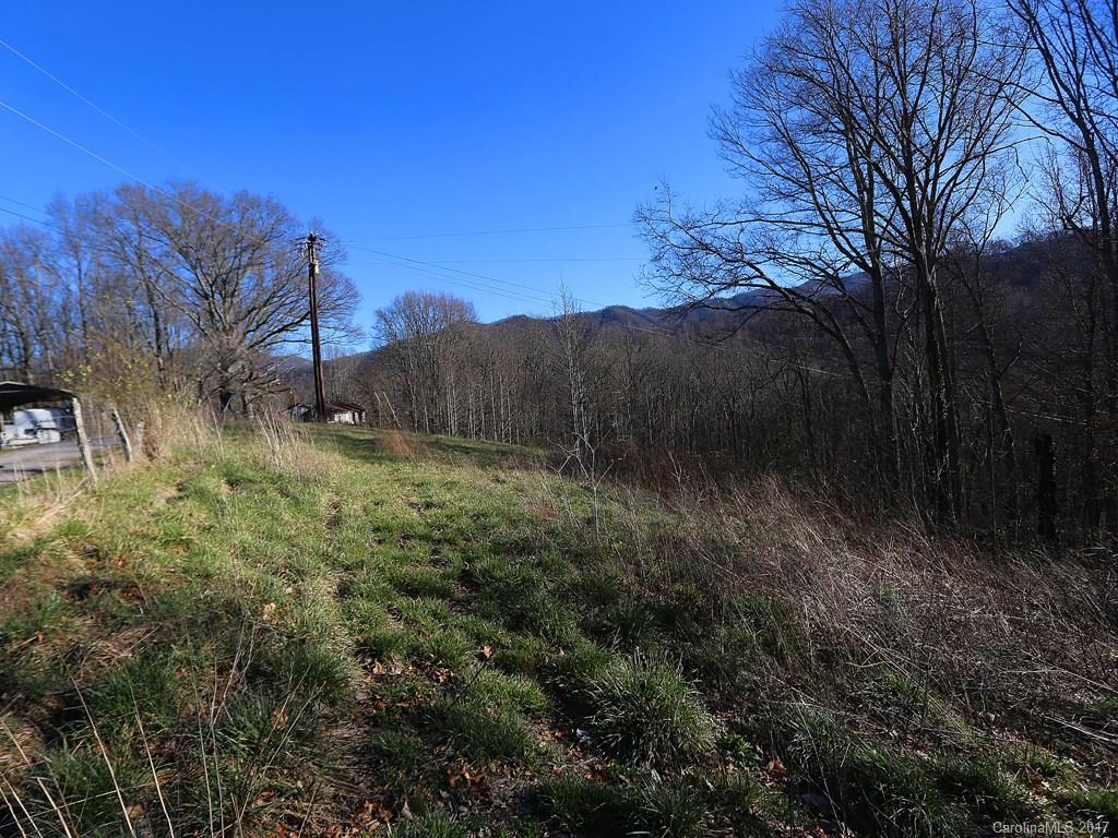 0 Squaw Ridge Road Waynesville, NC 28786 - Photo 2 of 5 a view of a lush green forest
