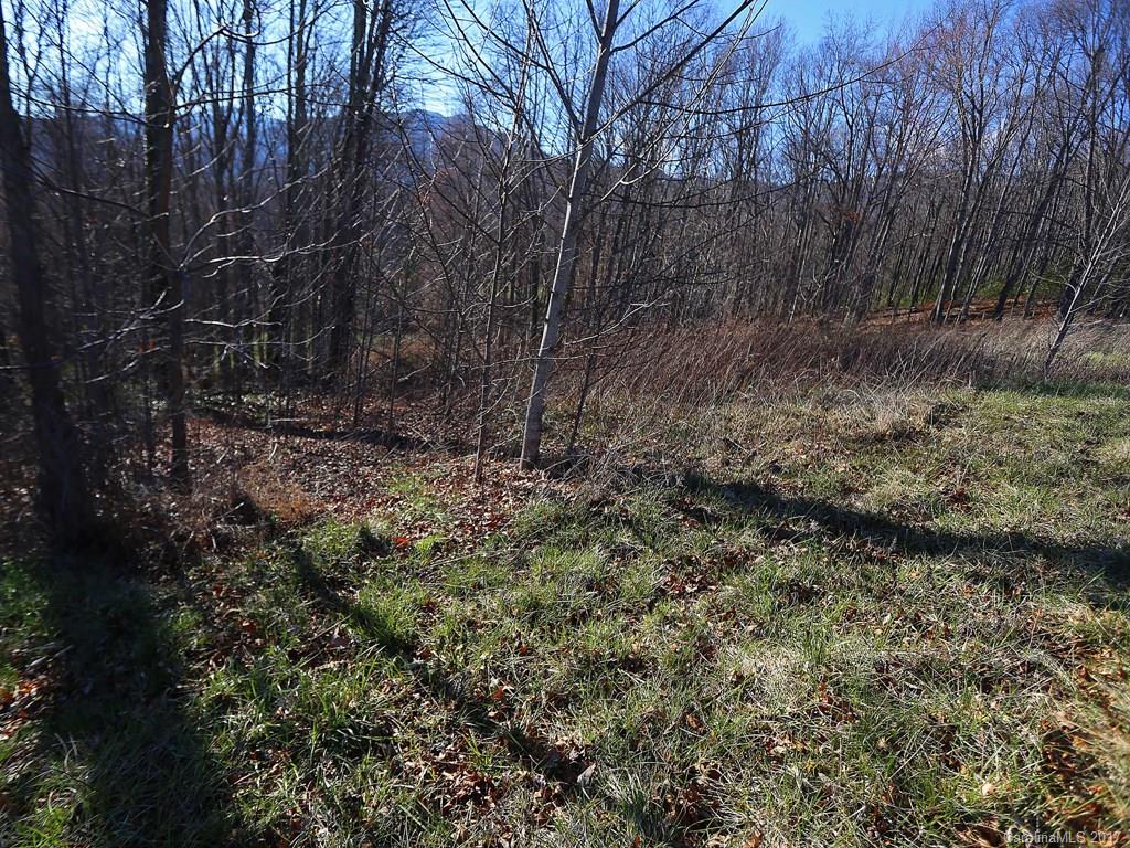 0 Squaw Ridge Road Waynesville, NC 28786 - Photo 3 of 5 a view of a forest with trees