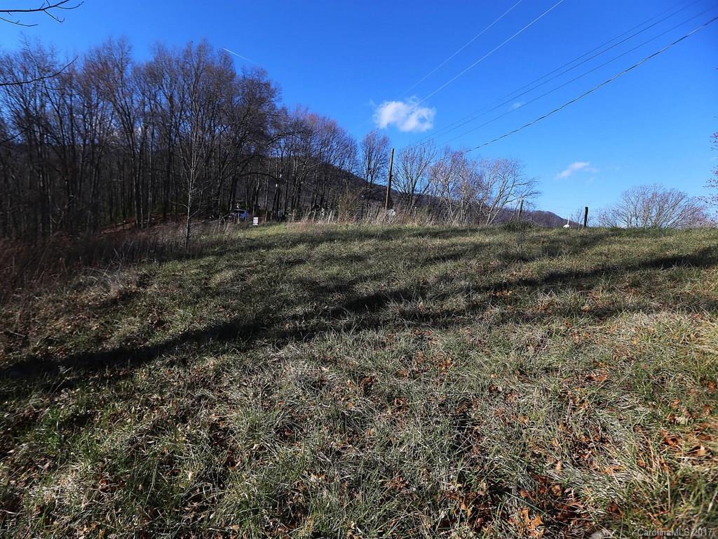 0 Squaw Ridge Road Waynesville, NC 28786 - Photo 5 of 5 a view of a yard with a large tree