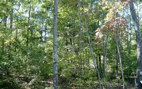 41 Timberlake Trail Blue Ridge, GA 30513 - Photo 1 of 1 Main View