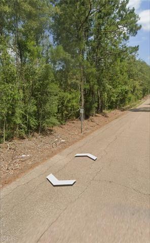 0 Coats Road Springfield, LA 70462 - Photo 2 of 2